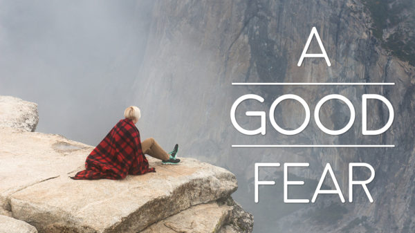 Wisdom Starts with a Good Fear Image